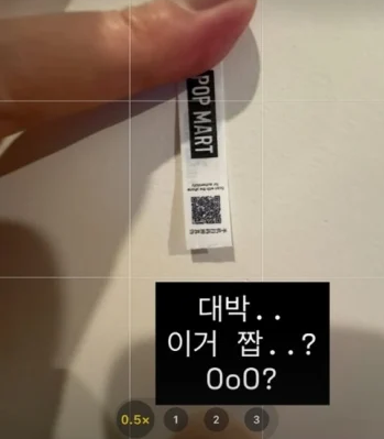 보아, 라부부 가품에 분개 (사진: 보아 SNS)