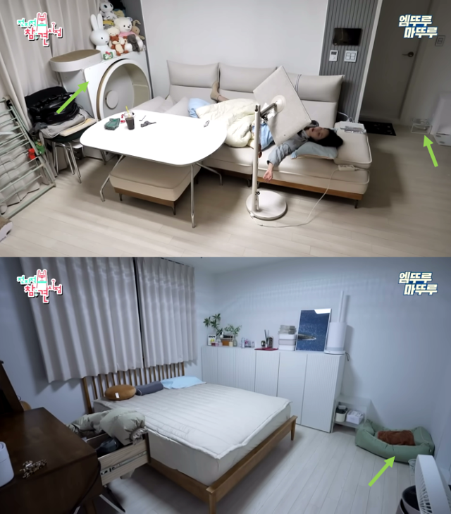 배우 연우의 집에서 보이는 냥님들의 흔적. 엠뚜루마뚜루 유튜브 캡처