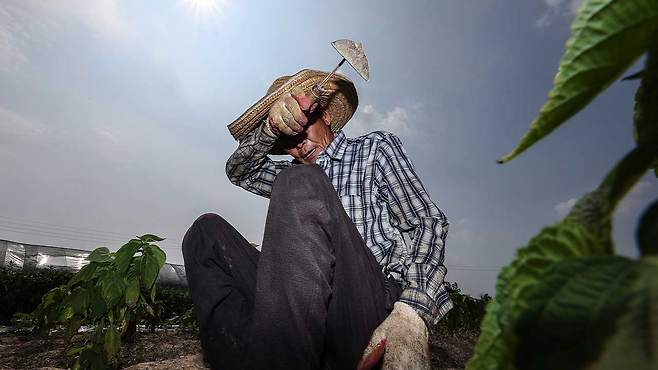 자료사진 [사진은 본 기사와 무관합니다.]