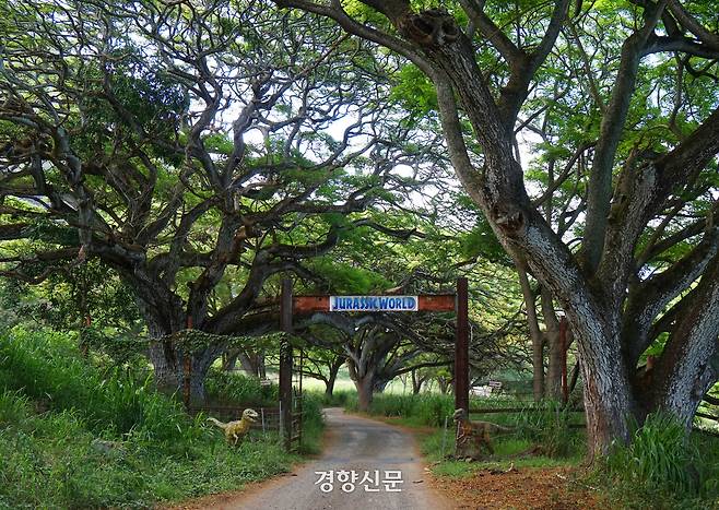 영화 <쥬라기공원>의 세트로 활용되었던 게이트를 넘나들 수 있다.