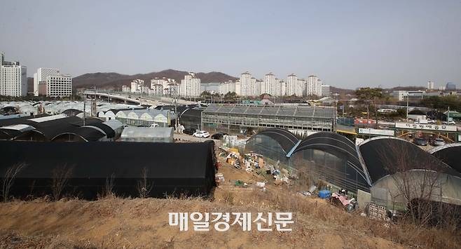 경기 과천주암 지구 일대 과거 전경. [매경DB]