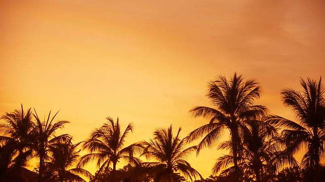 최근 다양한 감염병이 전 세계에서 동시다발적으로 유행하고 있다. 게티이미지