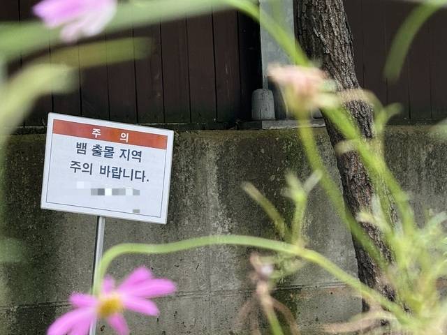 ▲ 3일 낮 12시쯤 충북 청주시 서원구 남이면 소재 대단위 아파트 단지 내 화단에 뱀 출몰 관련 안내판이 설치돼 있다./이용주기자