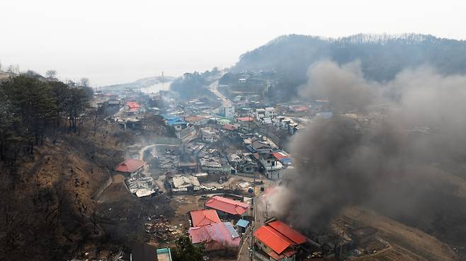 지난 3월 대형산불피해를 본 노물리 마을./ 영덕군 제공
