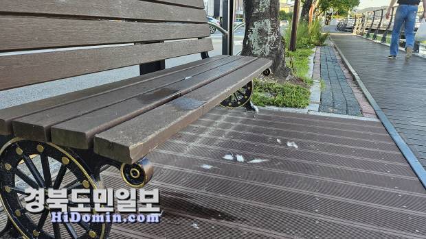 영덕군 영덕읍 덕곡천변 데크에 설치된 야외벤치에 반려견의 배설물과 털 등이 흩날리고 있다. 사진=김영호 기자.