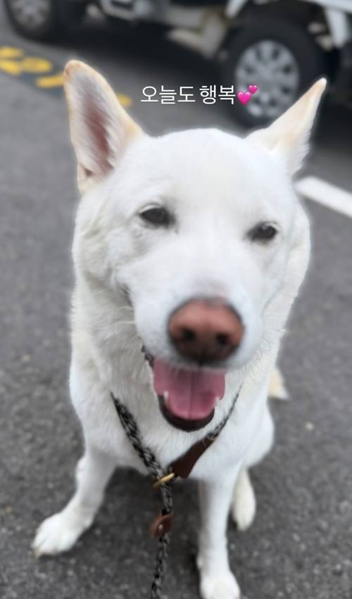 개그우먼 심진화가 조용하고 따뜻한 생일을 맞았다. 사진=심진화 SNS