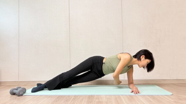 사이드 플랭크 트위스트 | 출처: 염승이 운동 전문가