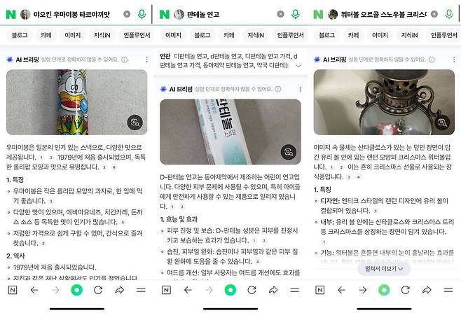 네이버 스마트렌즈 x AI 브리핑 기능은 다양한 제품 유형에 적용할 수 있다 / 출처=IT동아