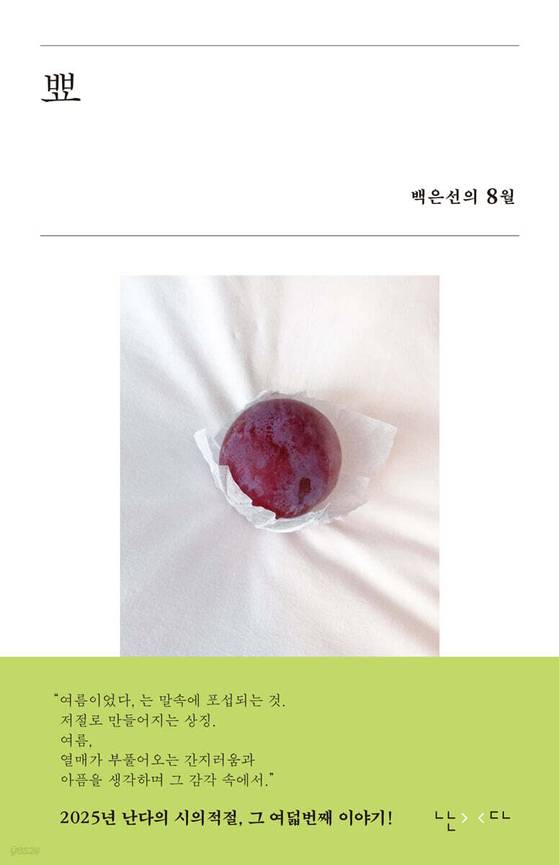 1일 출간된 백은선 작가의 신작 『뾰』의 표지. 장우철 작가의 사진으로 장식됐다. 사진 난다