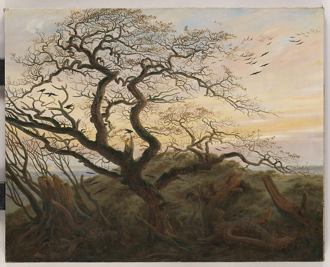 Caspar David Friedrich [L‘Arbre aux corbeaux], 1822 ©Musée du Louvre