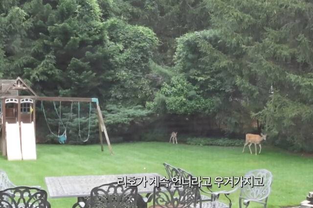 손태영, 권상우네 미국 집 마당에는 아이들을 위한 놀이터가 있다. / 유튜브 'Mrs. 뉴저지'