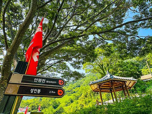 안평전 코스는 들머리에서 성인봉까지 약 2.7km. 짧지만 경사가 매우 가팔라 만만치 않은 길이었다.