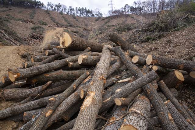 사진은 기사 내용과 무관함. 이미지투데이