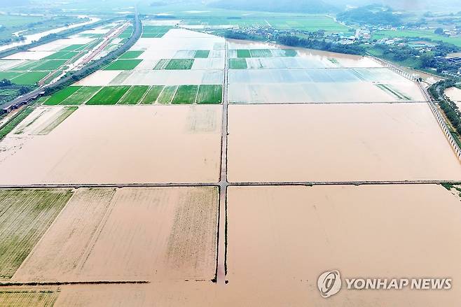 물폭탄 맞은 함평군 농경지 (함평=연합뉴스) 정다움 기자 = 4일 오전 전남 함평군 엄다면 일대 농경지가 빗물에 잠겨 있다. 함평에는 호우 특보가 발효된 전날 하루에만 170여㎜의 비가 내렸다. 2025.8.4 daum@yna.co.kr