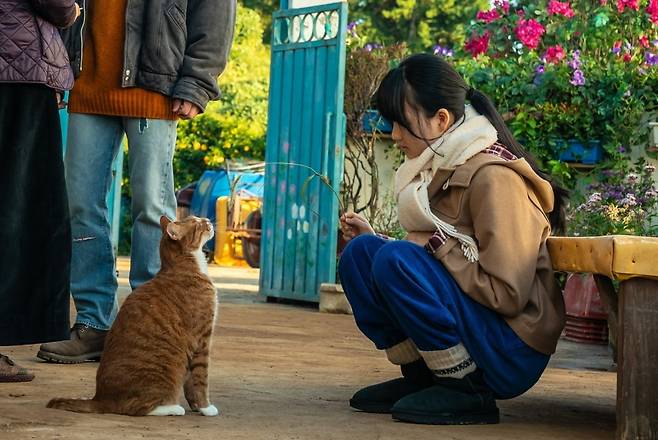 사진제공=NEW, 스튜디오N