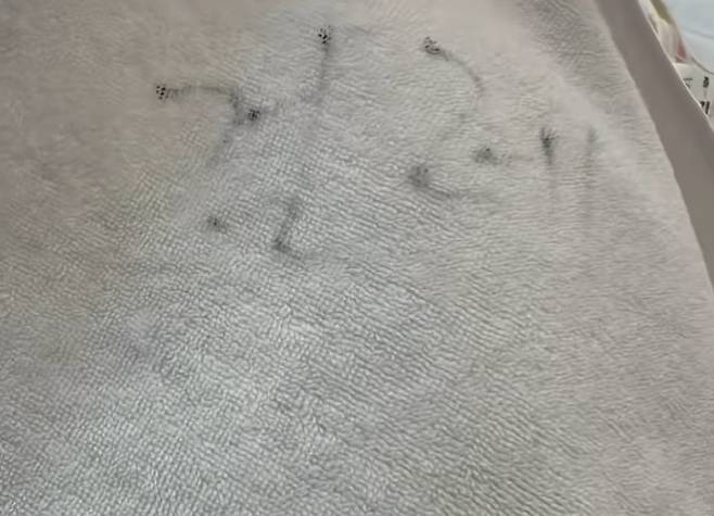 전남 여수시의 한 숙박업소에서 수건 대신 걸레를 제공해 논란이 되고 있다./사진=인스타그램