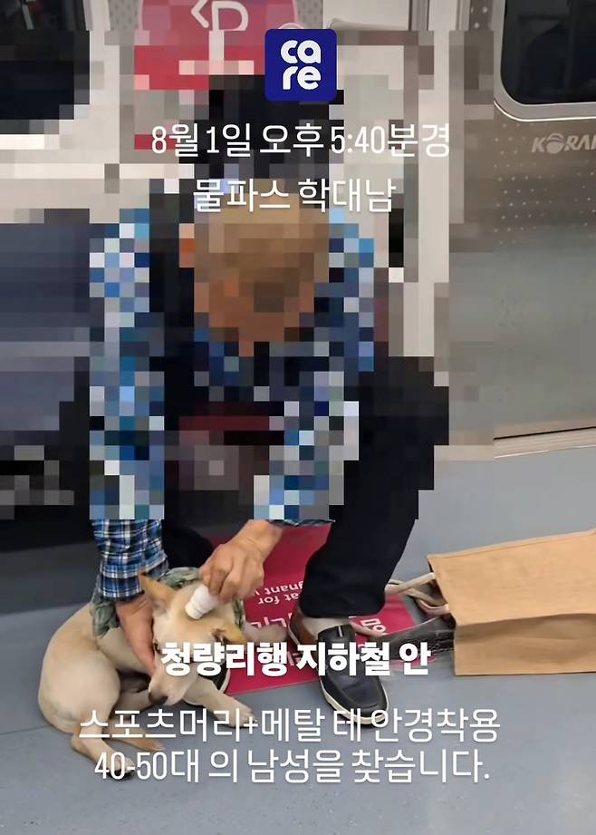 동물권단체 케어 SNS 갈무리