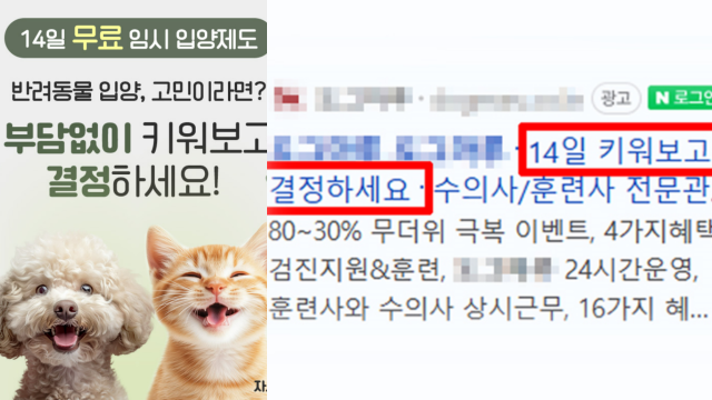 한 동물분양업체가 ‘14일 키워보고 결정하라’는 광고를 내걸었다. 동물분양업체 홈페이지 갈무리