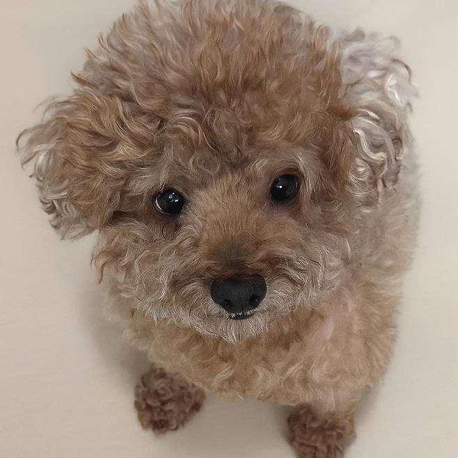 JMG(로칼하이레코즈)