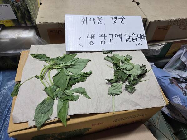반복되는 폭염폭우 등 이상기후로 광주 대표 전통시장인 양동시장 채소, 과일 가격이 천정부지로 치솟고 있다. 사진은 폭염에 채소가 시드는 것을 방지하기 위해 매대에 '냉장고에 있습니다'라고 적힌 표시판의 모습.