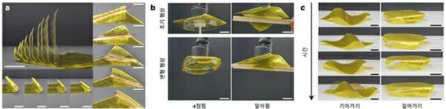 단일 로봇 종이로부터 유도되는 다양한 형상 변형 및 이의 활용 예시.(자료=KAIST)