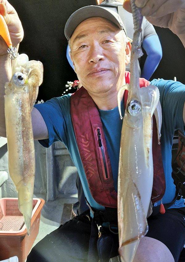 부산권에서 잡힌 한치.