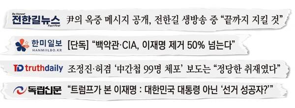 ▲ 전한길뉴스, 한미일보, 트루스데일리, 독립신문 기사 모음. 그래픽=안혜나 기자