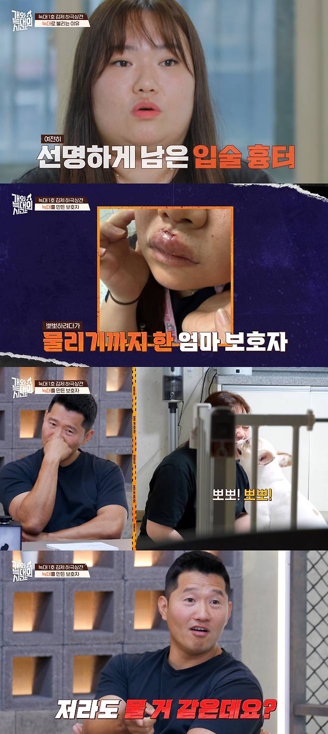 강형욱이 반려견 보호자의 태도에 분통을 터트렸다. /사진=채널A '개와 늑대의 시간' 방송화면