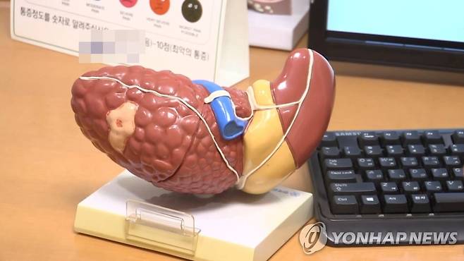 지방간 연합뉴스TV 캡처. 작성 김선영(미디어랩)