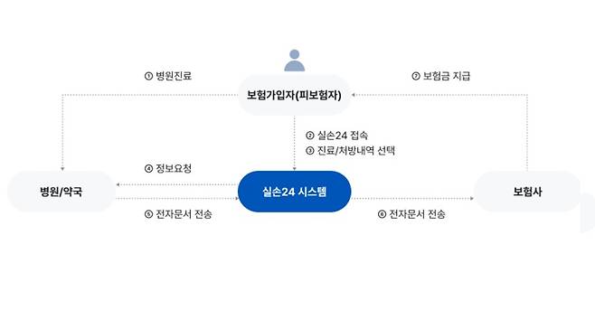 실손 청구 간소화 과정/사진=실손24 캡처