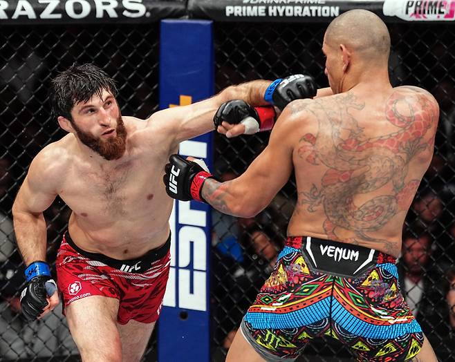 지난 3월 열린 UFC에서 안칼라예프가 페레이라에게 펀치를 날리고 있다. 사진 | UFC