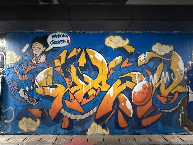 5일 서울 강남구 압구정 토끼굴 내부에 그라피티가 그려져있다. /이호준 기자