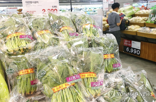 7일 서울 중구 롯데마트 서울역점에서 할인판매되는 시금치. 연합뉴스