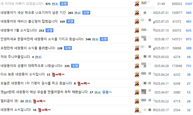 A씨는 지난 2월부터 온라인에 아내의 네쌍둥이 임신 소식을 전해왔다. [사진 = 에펨코리아]