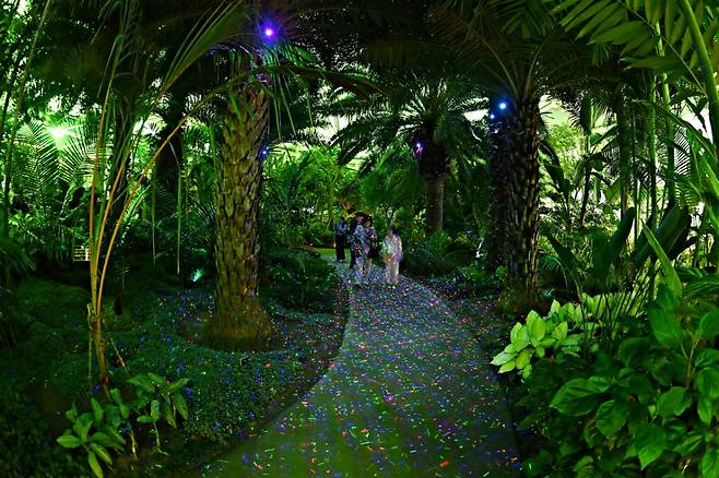 야간 개장한 부천호수식물원 내부 모습./사진제공=부천시
