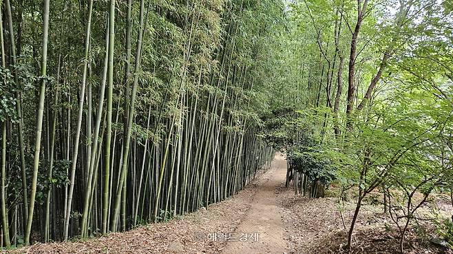 백운동 12경 중 제12경 운당원