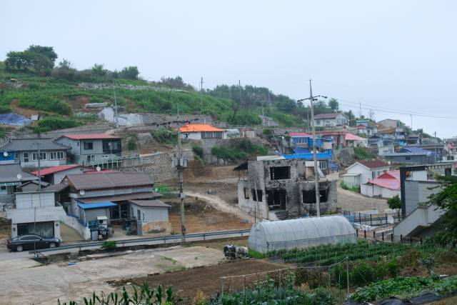 25일 경북 영덕 노물리 마을 곳곳이 불타 철거된 주택 자리로 비어 있다. 영덕=황동건 기자