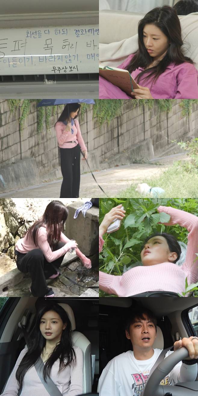 전지적 참견 시점, 이세희 재출연 (사진: MBC '전참시')