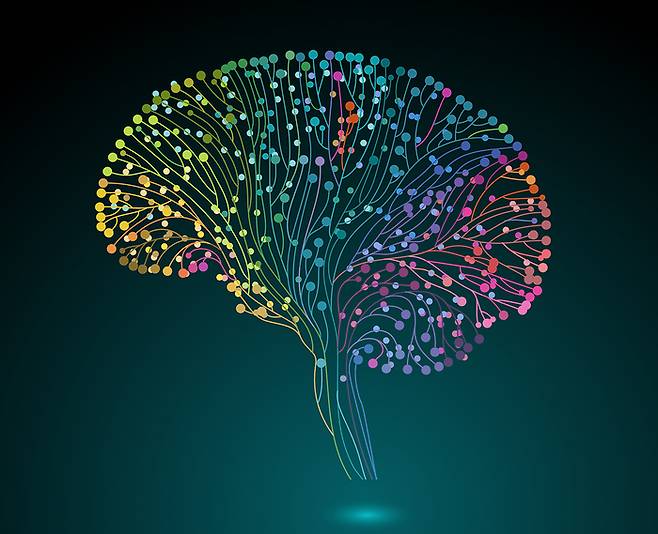 [이미지 출처=셔터스톡]