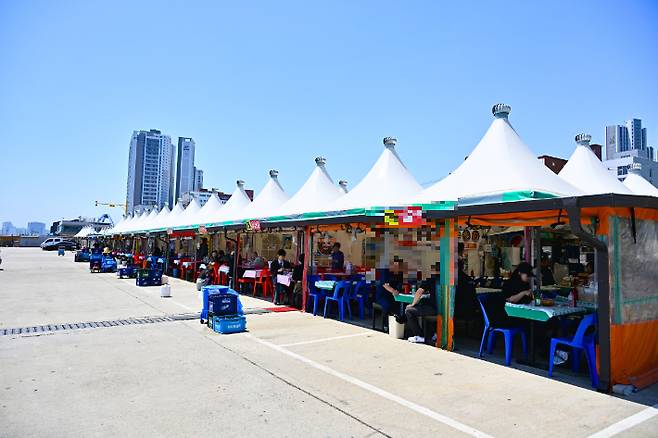 속초 오징어 난전. 속초시 제공