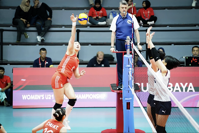FIVB 홈페이지 캡처