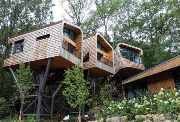 트리하우스는 총 3채이며, 노르웨이 피오르 해안의 트리하우스를 참고해 만들었다.&nbsp; 조영철 기자