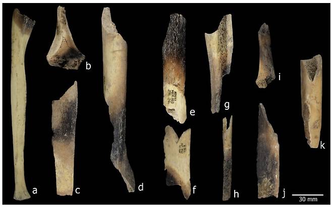 불에 굽거나 조리하면서 생긴 것으로 보이는 뼈의 색 변화 [Scientific Reports, Gerard Campeny et al.제공. 재판매 및 DB 금지]