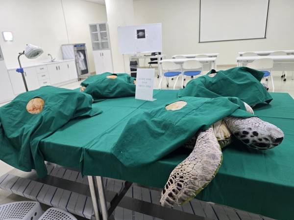 시흥해양생태과학관 내 마련된 체험실. 시흥/김성주기자 ksj@kyeongin.com