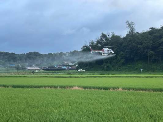 (항공방제 사진)