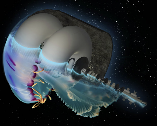 3위팀 우주선 디자인. Systema Stellare Proximum팀 제공.