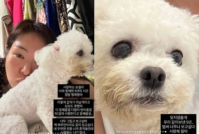 미자 소셜네트워크서비스 계정
