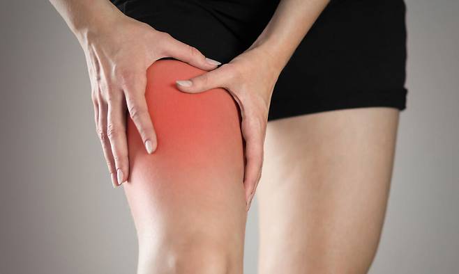 사진=게티이미지뱅크