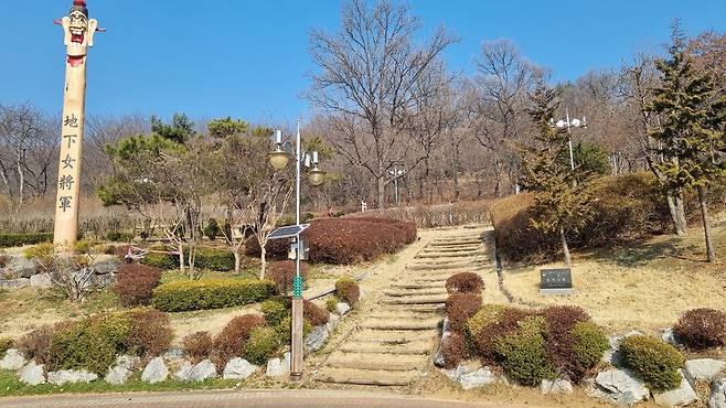 공원에 설치된 태양광 해충퇴치기.