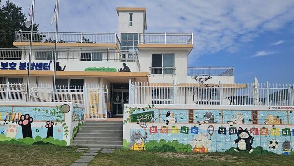 고양이들 보호하는 의미로 축제 장소에서 빠진 고양이학교 전경. 희망자들을 대상으로 1시간 간격으로 '묘빌리티'를 운영해 10여 명씩 방문하도록 했다. /정봉화 기자